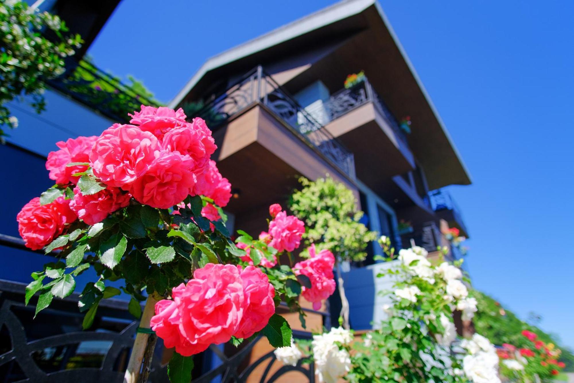 Peerless Villas Hotel Trabzon Exteriör bild